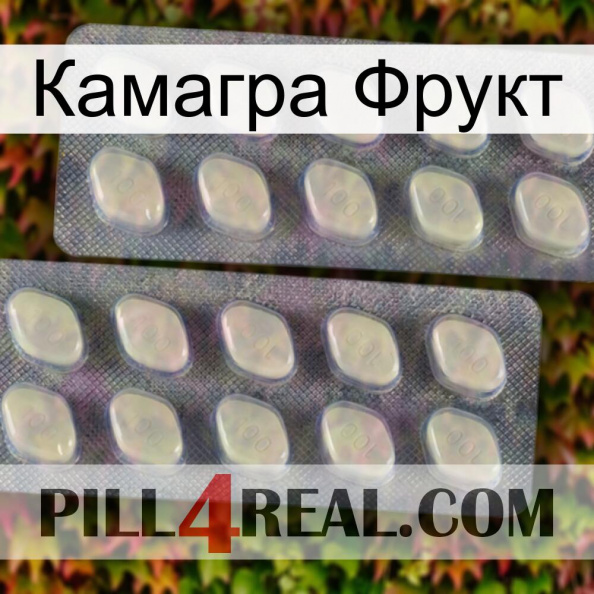 Камагра Фрукт 07.jpg